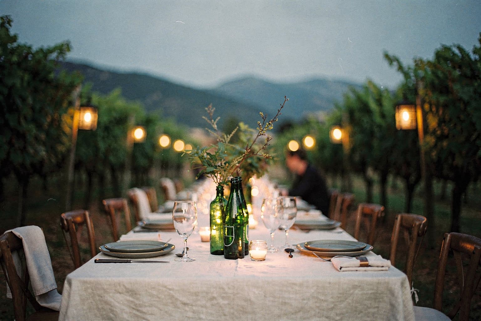 The long table set between the vines at dusk